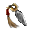 Shiriken+