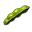 Fasulye